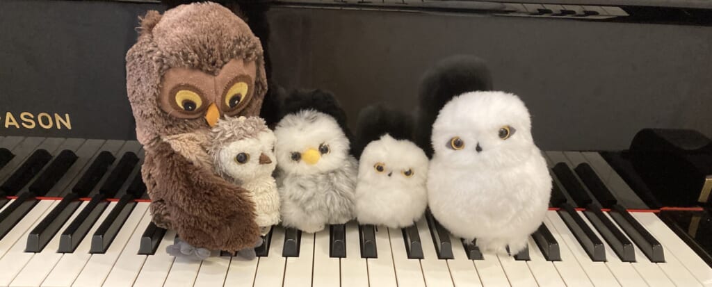 ふくろうとピアノ