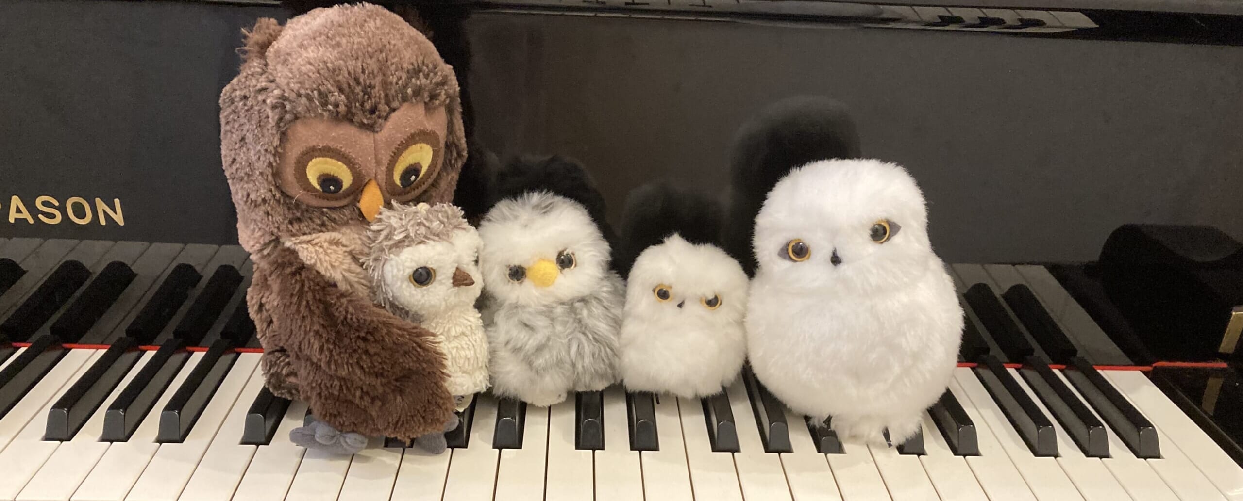 ふくろうとピアノ